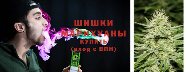 молекула духа Краснослободск