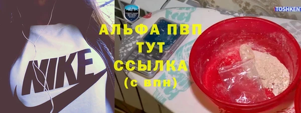 молекула духа Краснослободск