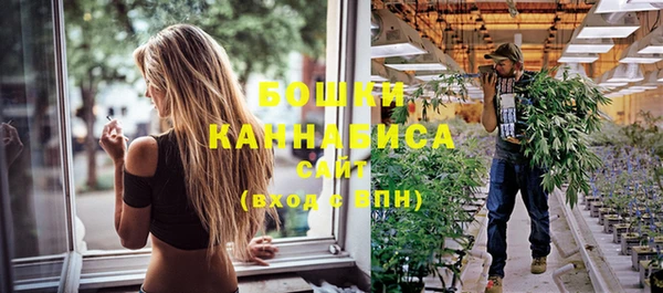 молекула духа Краснослободск