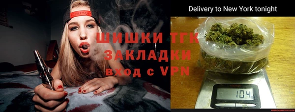 молекула духа Краснослободск