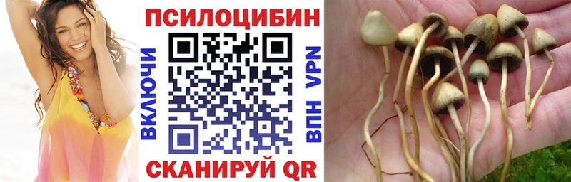 Галлюциногенные грибы ЛСД  Александровское 